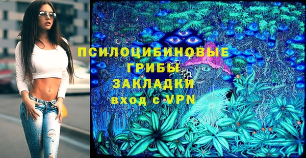 не бодяженный Алексин